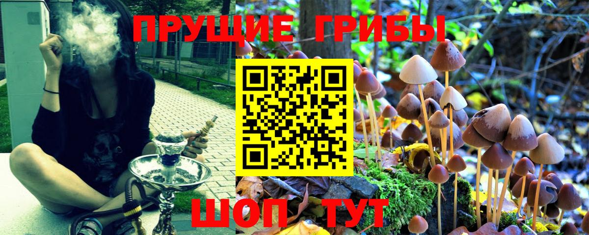 Галлюциногенные грибы ЛСД Тосно
