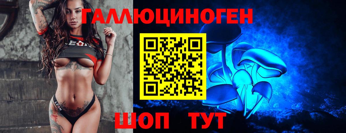 Тосно  Псилоцибиновые грибы ЛСД  Вход с VPN 