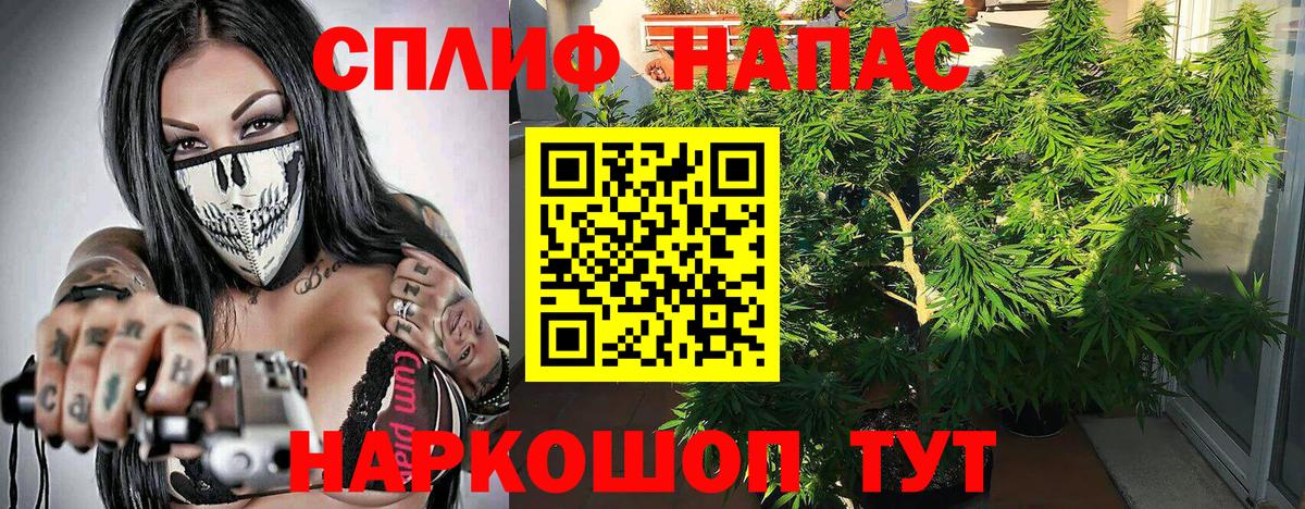 МАРИХУАНА план  Бошки Шишки AK-47  Бошки марихуана планчик  Бошки Шишки конопля  Тосно  Вход с VPN 