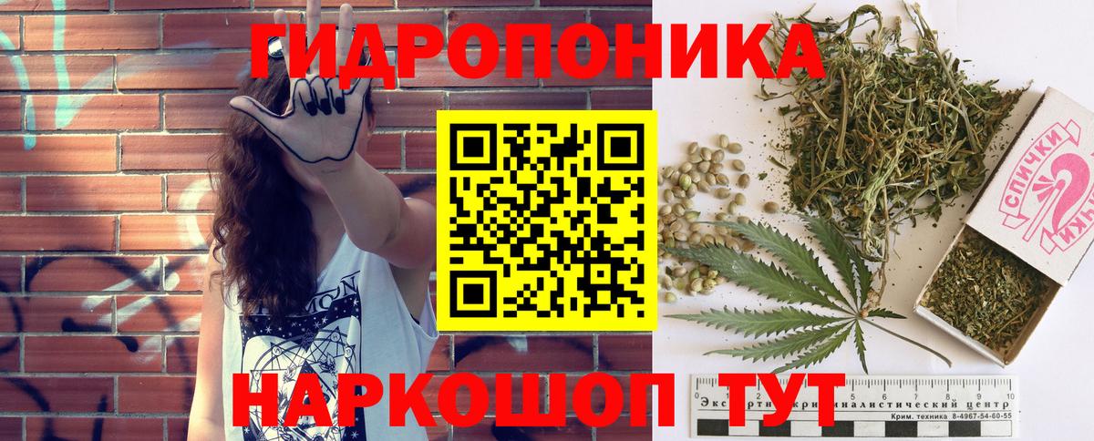 Бошки марихуана план Тосно